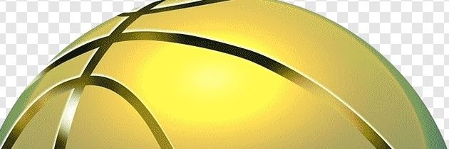 ilysia dyck banner