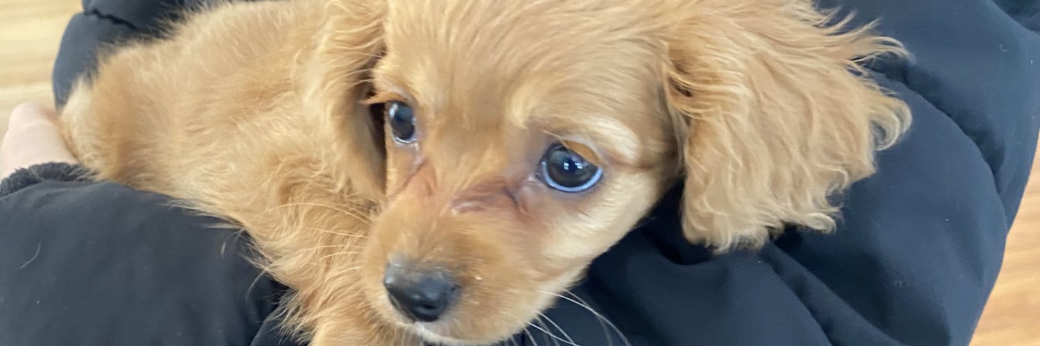 Matt Gabrielson banner