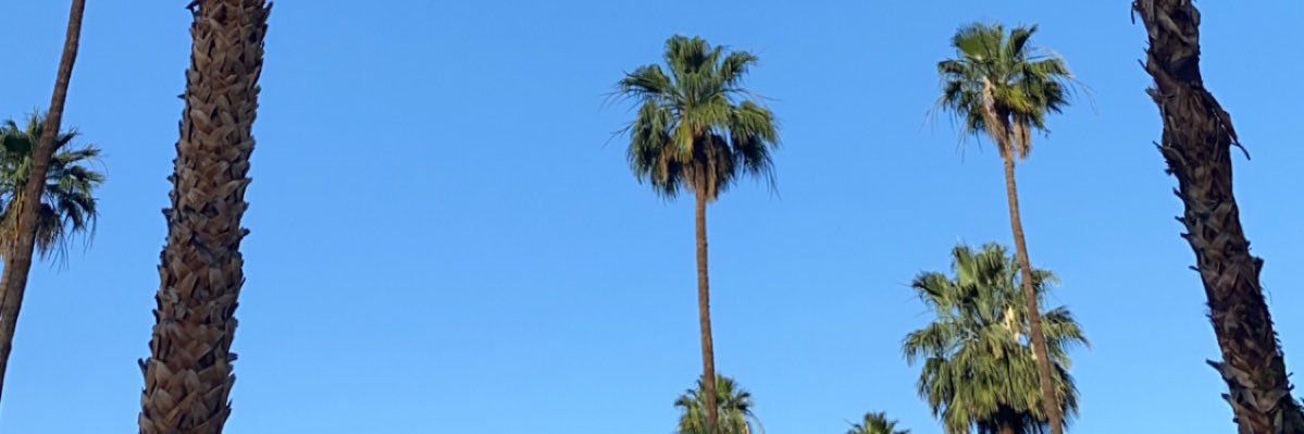 CMWhitfield's profile banner image