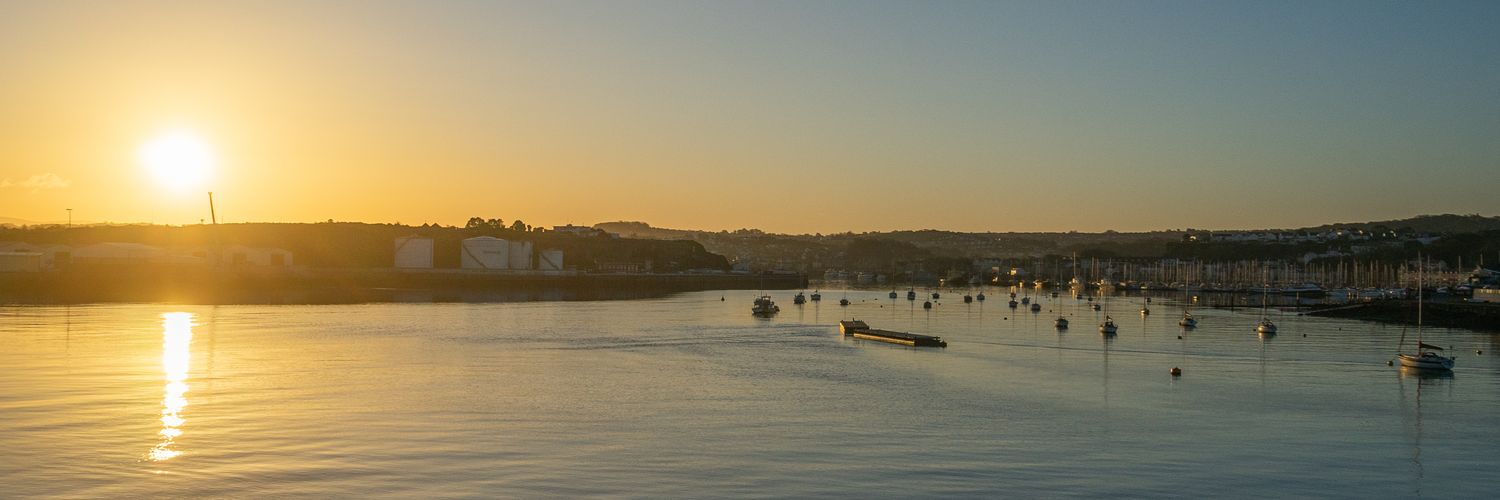 Daniel Dayment banner