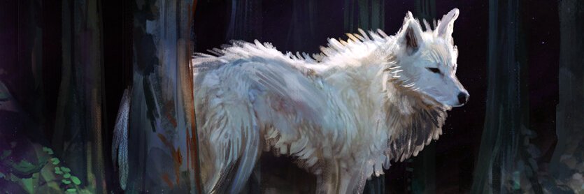 DustWhitewolf's profile banner image