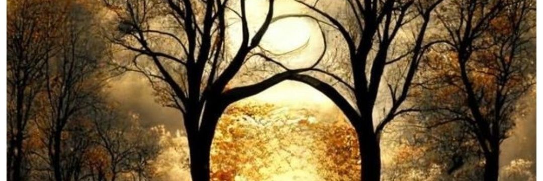 رجاء/أم أحمد/ماجستير علوم سياسية banner