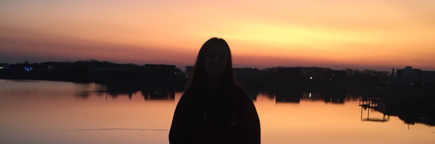 LuliWalls's profile banner image