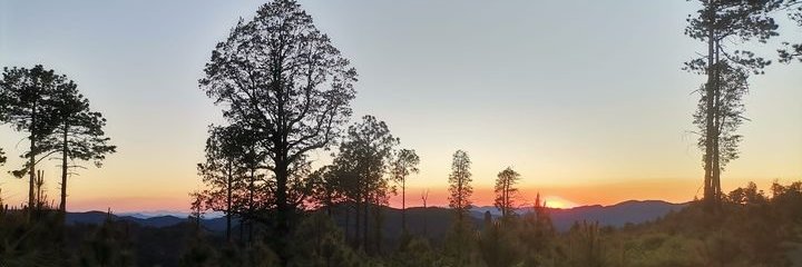 NoradeSonora's profile banner image