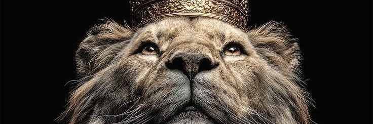 poif48's profile banner image