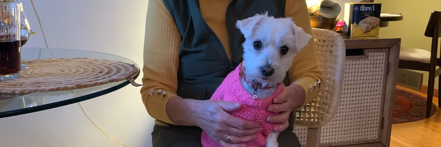 Royce Koop 🇨🇦 banner