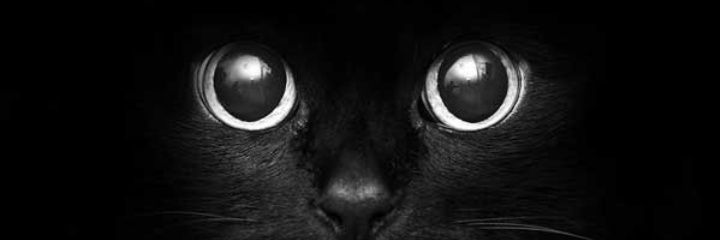 anormalinda's profile banner image