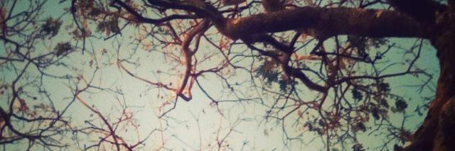 dayanefp_'s profile banner image