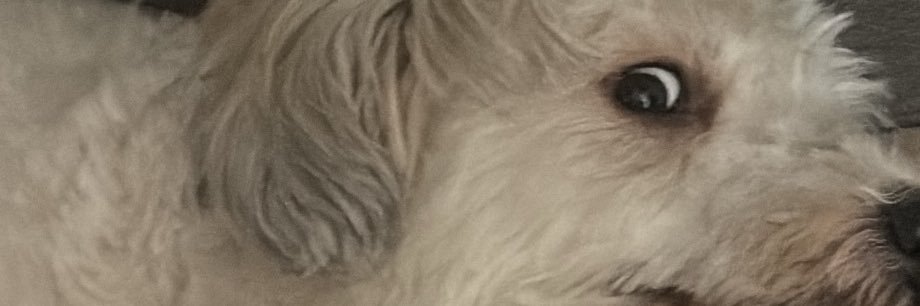 itisjustapotato's profile banner image