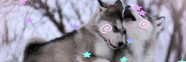 digitalpupp Profile Banner
