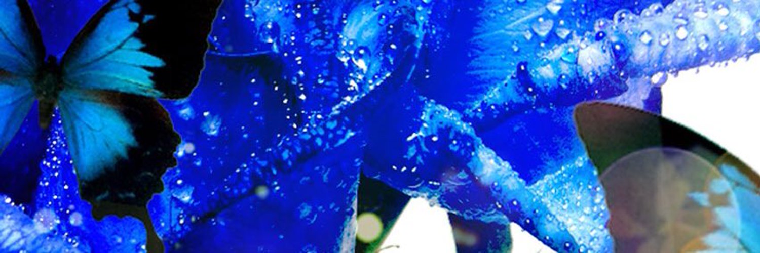 pureclematis's profile banner image