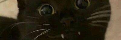 emewd20's profile banner image