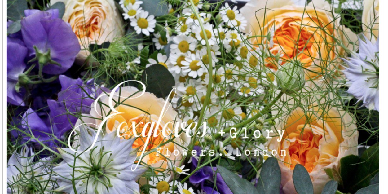 foxandglory's profile banner image