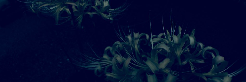sa56272002's profile banner image