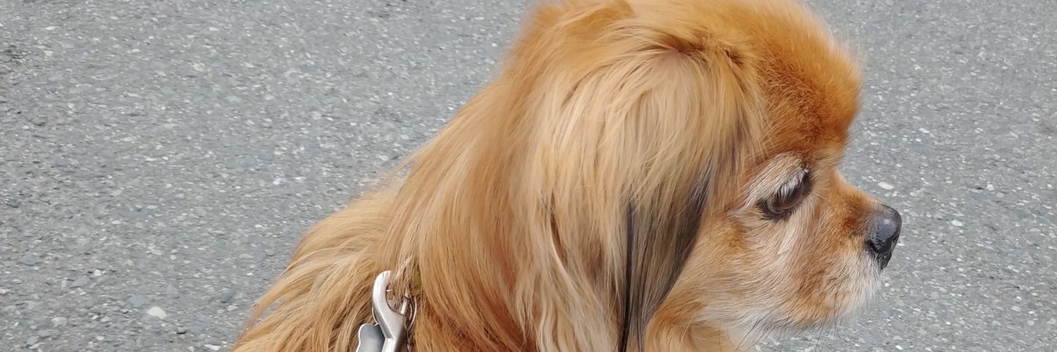 Q80G9's profile banner image