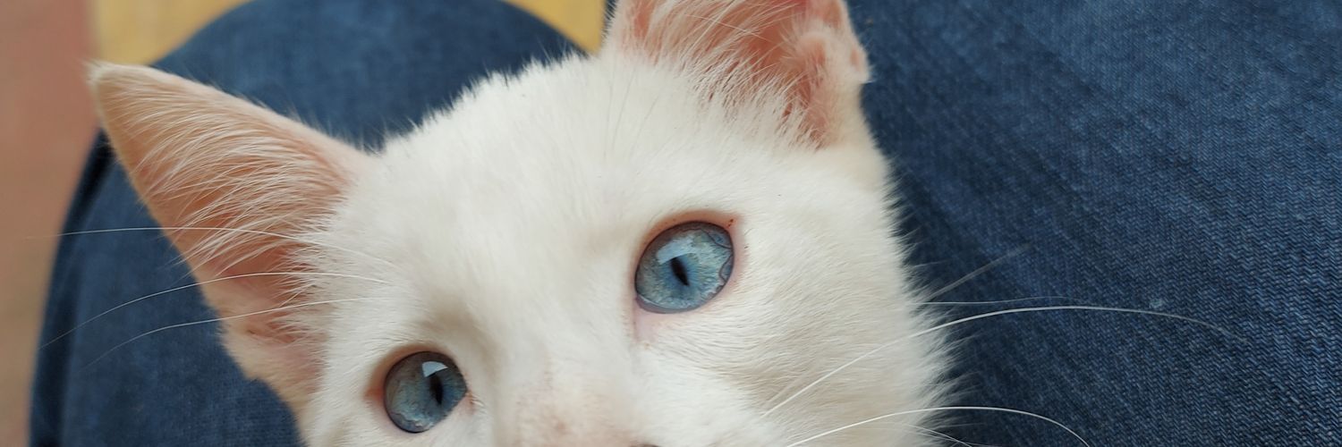 khrizburton's profile banner image