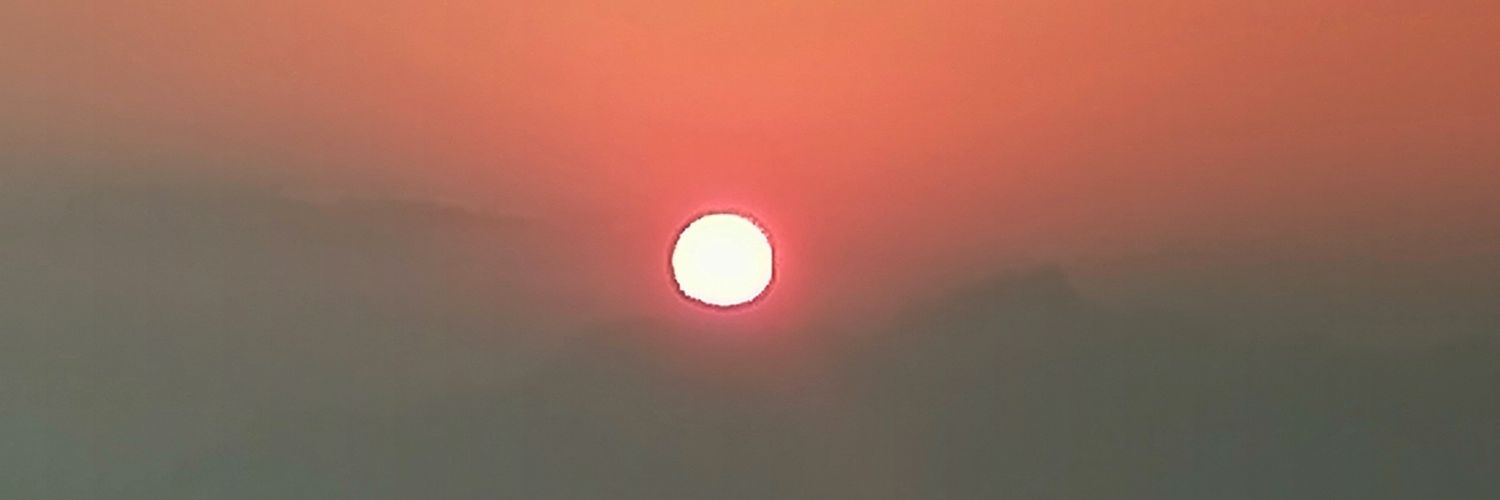 luzali77's profile banner image