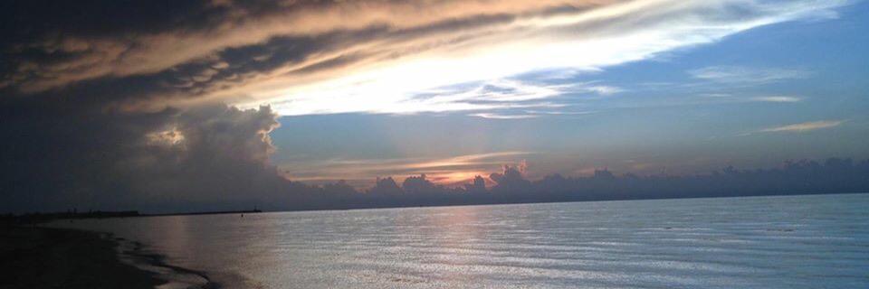 Yamile_M's profile banner image