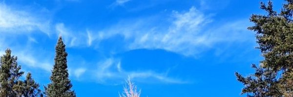 HughJac61544652 Profile Banner