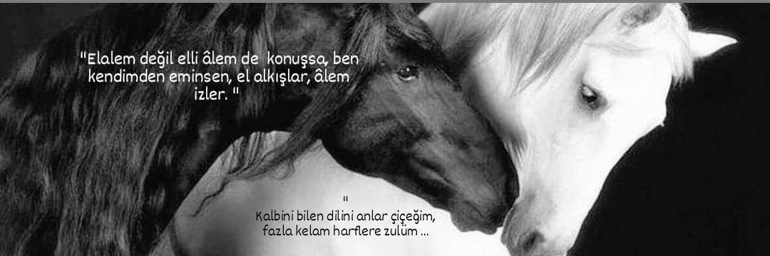 _Kut__S's profile banner image