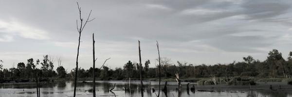 lweber Profile Banner