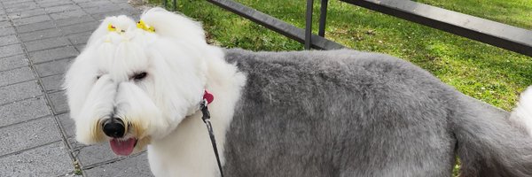 JMomprade Profile Banner