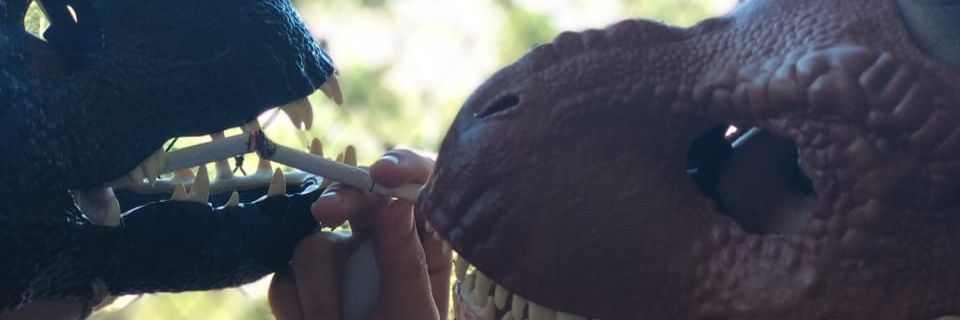 bighhouse's profile banner image