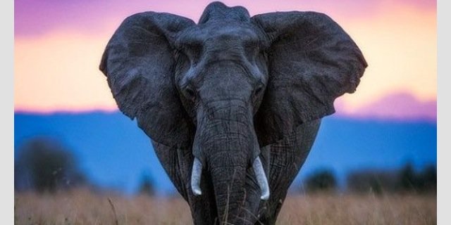 THAT_COUNTRYGAL's profile banner image