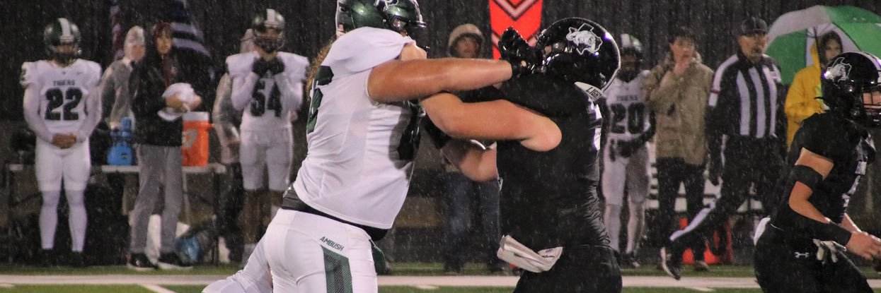 Michael Riddle banner