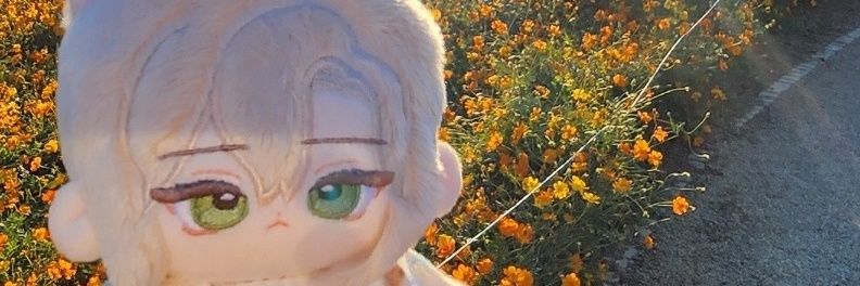 라임쓰의 솜계 banner