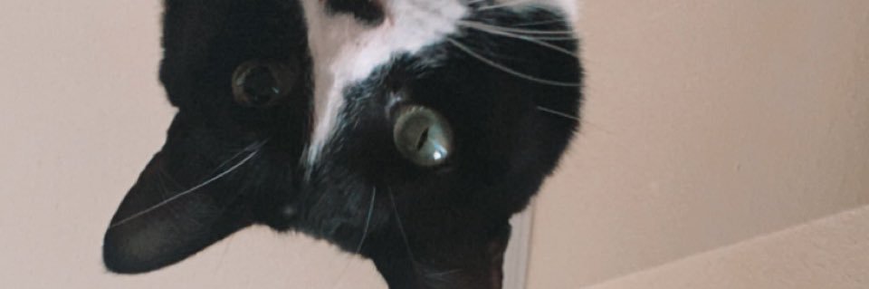 MissJONESY21's profile banner image
