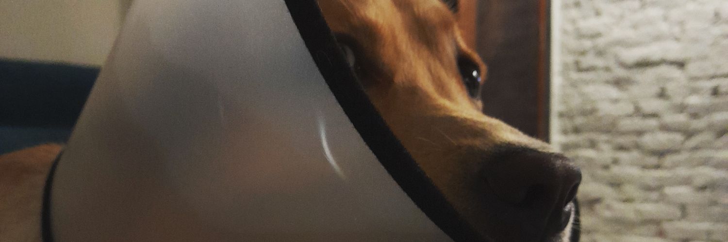 kalgivadher's profile banner image