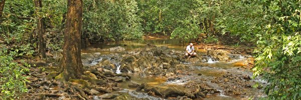 stevenlockett Profile Banner