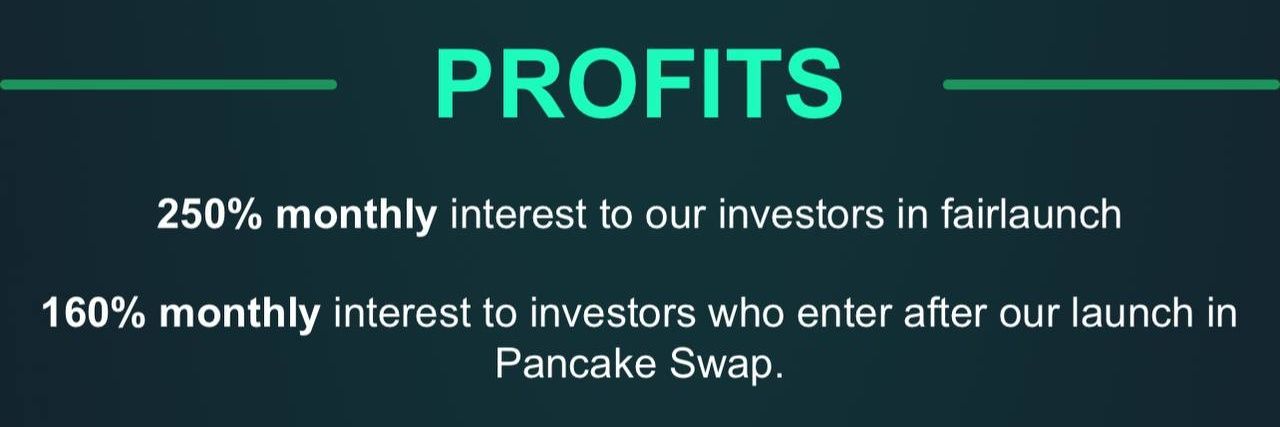 Network Capital banner