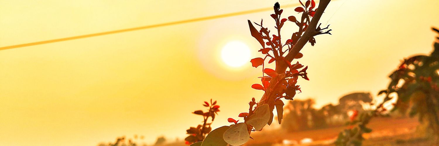 samimcr2's profile banner image