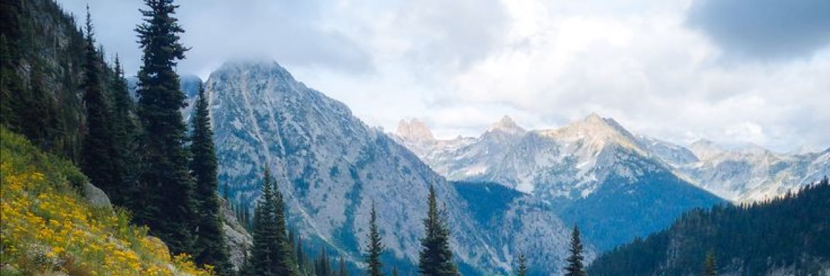 libbythesmith's profile banner image