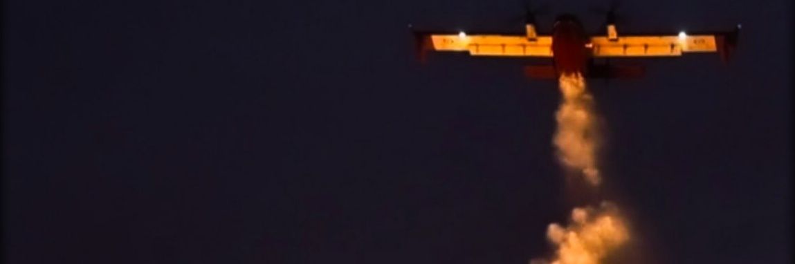 catblack1980's profile banner image