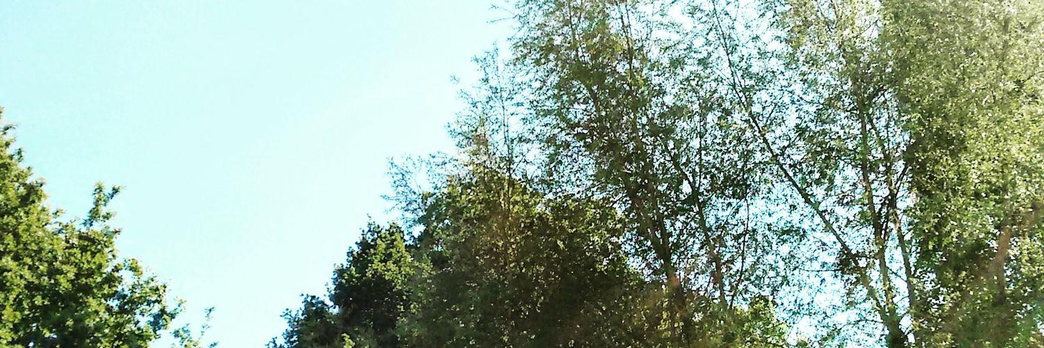 CoxyCeline's profile banner image