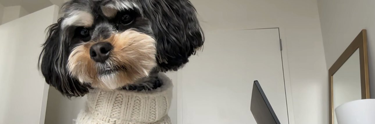 ZPBentum's profile banner image