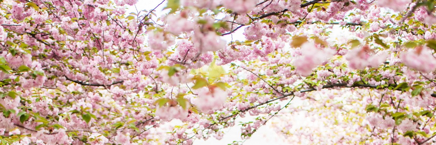 ldswomen's profile banner image