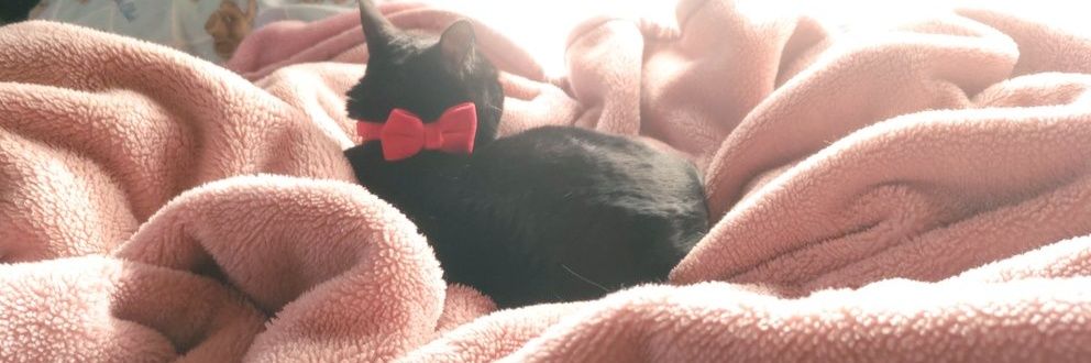 黒猫ちび太くん&ばぁば banner