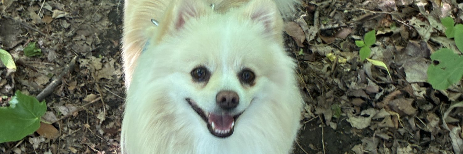 johnpendergast's profile banner image