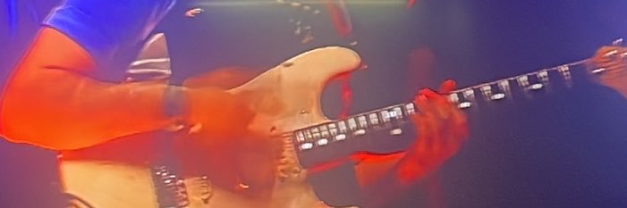 grelodemacaco's profile banner image