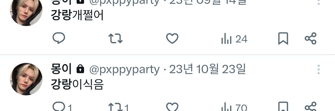 몽이 banner