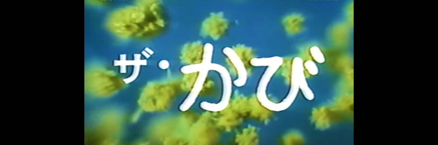 MachaNameko's profile banner image