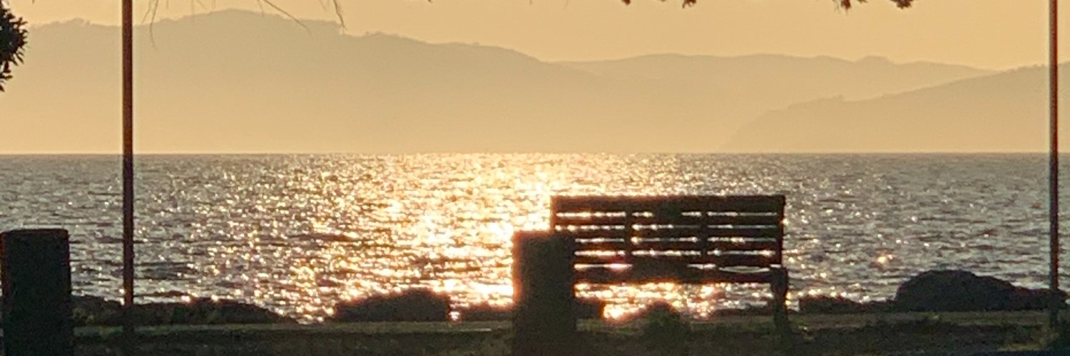 colleencrowley's profile banner image
