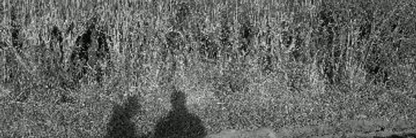 charliewinter Profile Banner