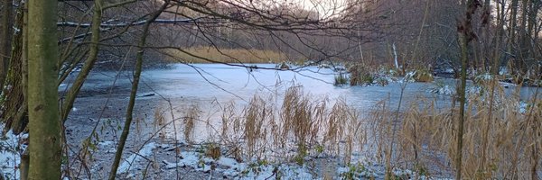 BunteWelt02 Profile Banner