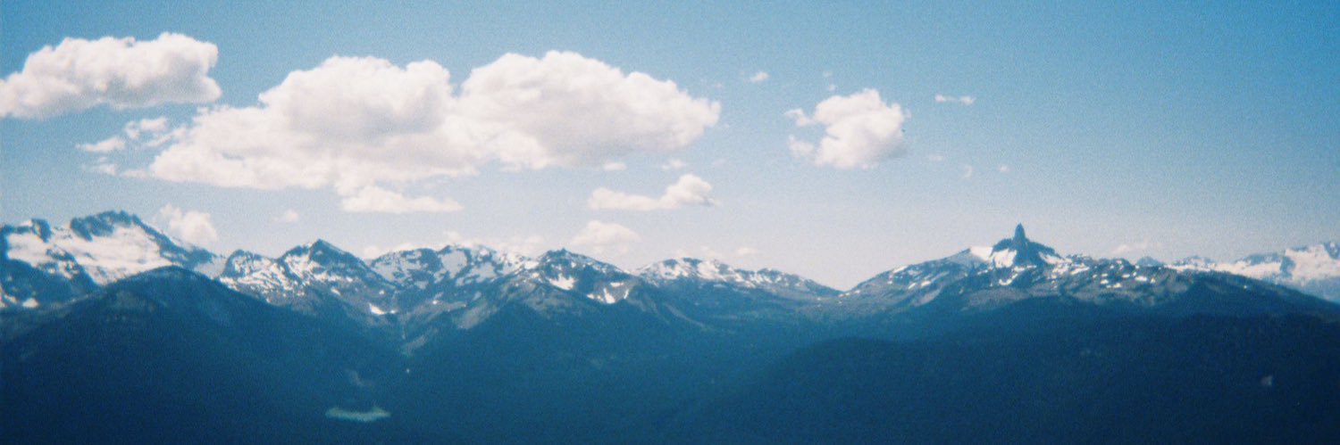 darcy banner