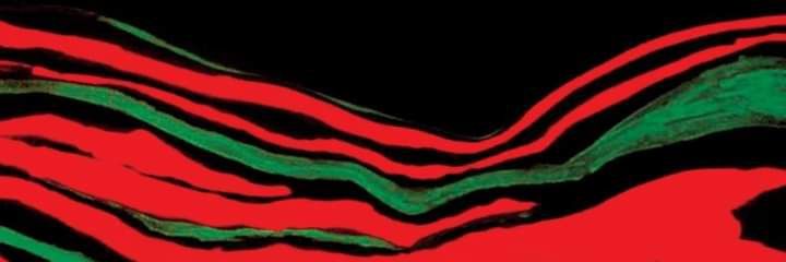 florez_alberto's profile banner image